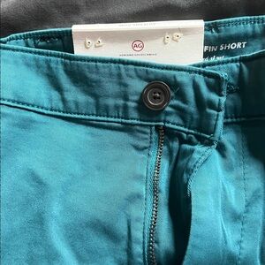AG Adriano Goldschmied Teal Flat Front Men Shorts